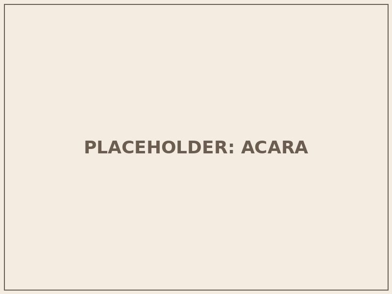 Foto placeholder acara catering