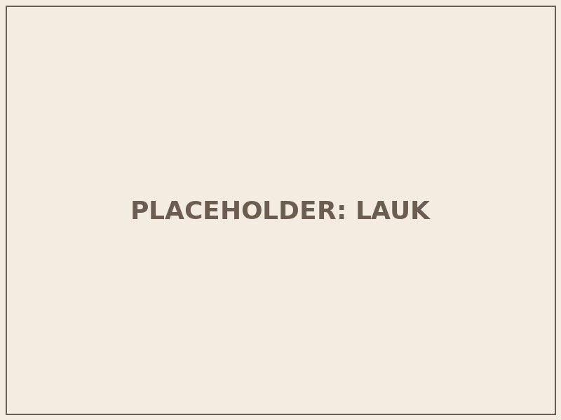 Foto placeholder untuk menu Ayam Rica-Rica